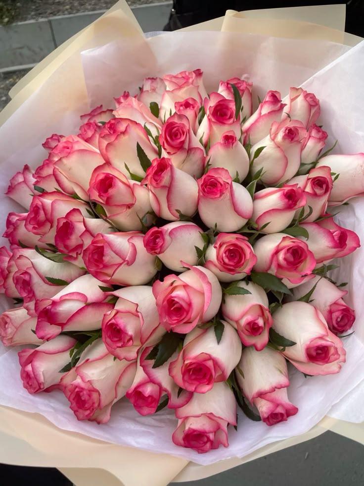 Eternal Caress of Floral Grace